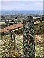 SO5987 : Old fence post on Brown Clee Hill by Mat Fascione