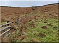 SO5887 : Fence next to the Shropshire Way by Mat Fascione