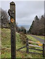 SO5987 : Marker post along the Shropshire Way by Mat Fascione