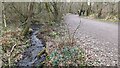 SJ5414 : Small stream next to the path in the woods by TCExplorer