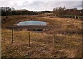 NS6861 : SUDS pond near M74 by Jim Smillie