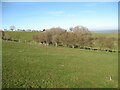 NY3440 : Footpath near Hartrigg by Adrian Taylor