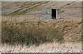 NT6134 : A hide at Bemersyde Moss Nature Reserve by Walter Baxter