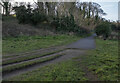 J4382 : The North Down Coastal Path at Seahill by Rossographer