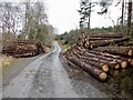 NN5305 : Logs, Achray Forest by Richard Webb