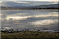 NH5849 : Mud of the Beauly Firth by Julian Paren