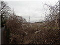 TQ4362 : Pylon seen from North End Lane by Marathon