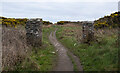 J5283 : The North Down Coastal Path at Ballymacormick Point by Rossographer