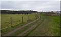 J5283 : The North Down Coastal Path at Ballymacormick Point by Rossographer