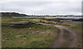 J5283 : The North Down Coastal Path at Ballymacormick Point by Rossographer