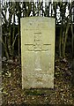 NS5455 : Commonwealth War Grave, Mearns Cemetery by Richard Sutcliffe