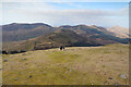 SH5646 : Moel Hebog summit by Andy Waddington