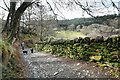 SH7755 : Sarn Helen above Rhiwddolion by Andy Waddington