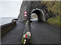 D3905 : The Black Arch near Larne by Rossographer