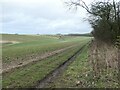 SE8462 : Public bridleway heading east from North Plantation by Christine Johnstone