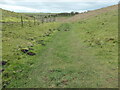 SE8362 : Molehills on the Yorkshire Wolds Way by Christine Johnstone