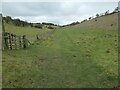 SE8362 : Vessey Pasture Dale by Christine Johnstone