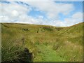 NT2415 : The Southern Upland Way near Shiel Sike by Adrian Taylor