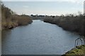 SO8832 : The River Severn at Upper Lode by Philip Halling