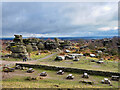 SE2064 : A View of Brimham Rocks from the Visitor Centre by David Dixon