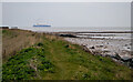 TM2327 : Looking to the North Sea at Little Oakley by Roger Jones