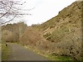 NT2570 : Scree, Blackford Hill by Richard Webb