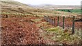 SD6897 : View along fence on north side of Cautley Holme Beck towards footpath to Cautley Spout by Roger Templeman