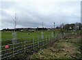 NZ1854 : Grazing field below Tanfield Leith Farm by Robert Graham