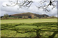 SD6490 : Field with tree shadows by Trevor Littlewood