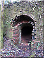 SN5005 : A western-side entrance to the Hoffman kiln at Horeb Brickworks by Gareth James