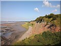 ST5689 : Aust Cliffs from Severn Bridge by S