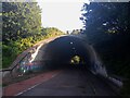 ST5391 : Caerwent Lane Underpass, Thornwell  by S