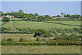 SZ6287 : Towards Bembridge Windmill by Ian Capper