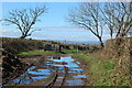 SN1611 : End of farm track at Crosslands Road by M J Roscoe