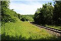 SE8286 : North Yorkshire Moors Railway by Graham Robson