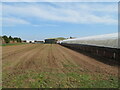 NT9162 : Buildings at Littledean Farm by M J Richardson