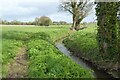 SO8035 : A stream on Longdon Marsh by Philip Halling