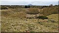 SJ5505 : Cound Quarry (disused) by TCExplorer