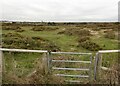 SZ1590 : Enclosure near Hengistbury Head by Oliver Dixon