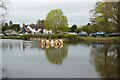 SO8142 : Duckhouses on Swan Pool by Philip Halling