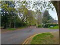 SU7075 : St Peter's Avenue bollards by Oscar Taylor