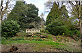 SP0682 : Viewpoint in the woods by Des Blenkinsopp