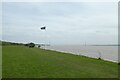 SE9925 : Flag on the Riverside Walkway by DS Pugh