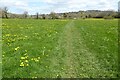 SP1724 : Footpath near Lower Swell by Philip Halling