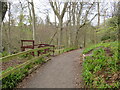 NJ9309 : River Don Path near old Aberdeen by Malc McDonald