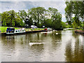 SJ6566 : Weaver Navigation, Winsford Marina by David Dixon