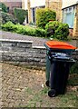 ST3090 : Two types of wheelie bin, Malpas, Newport by Jaggery