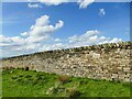 SJ9582 : Rebuilt boundary wall of Lyme Park by Stephen Craven