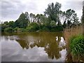 ST3662 : Summer Lane Pond  by S