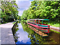 SJ2142 : Trip Boat at Llangollen Wharf by David Dixon